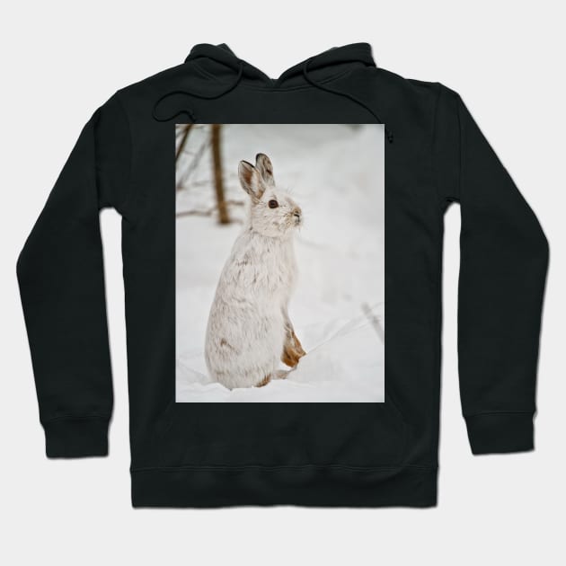 Show Shoe Hare Hoodie by jaydee1400